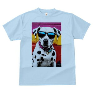 _VA TVc  j[NfUCfB[X t@  t vg lJWA 킢 lԗp Mtg I ҏ΍ TOX _VA  