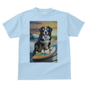 o[j[Y}EehbO TVc  j[NfUCY LbY t@  t vg lJWA 킢 lԗp Mtg I ҏ΍ T[tB o[j[Y}