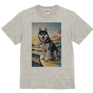 VxAnXL[ TVc  j[NfUCfB[X t@  t vg lJWA 킢 lԗp Mtg I ҏ΍ T[tB VxAnXL[ C [