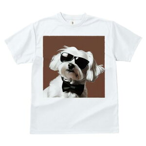 }`[Y TVc  j[NfUCfB[X t@  t vg lJWA 킢 lԗp Mtg I ҏ΍ TOX }`[Y lN^C