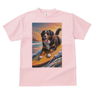 o[j[Y}EehbO TVc  j[NfUCY LbY t@  t vg lJWA 킢 lԗp Mtg I ҏ΍ T[tB o[j[Y}