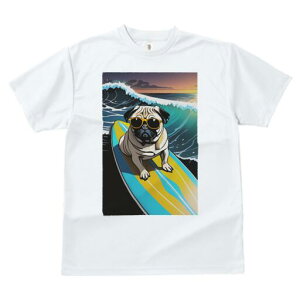 pO TVc  j[NfUCfB[X t@  t vg lJWA 킢 lԗp Mtg I ҏ΍ g pO C T[tB TOX