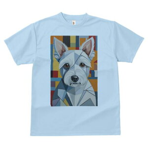 EGXgnChzCgeA TVc  j[NfUCfB[X t@  t vg lJWA 킢 lԗp Mtg I ҏ΍ 􉽊w͗l EGXgn