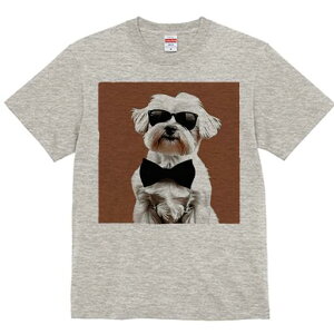 }`[Y TVc  j[NfUCfB[X t@  t vg lJWA 킢 lԗp Mtg I ҏ΍ TOX }`[Y lN^C