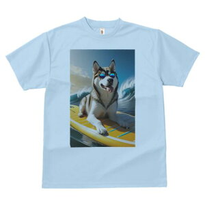 VxAnXL[ TVc  j[NfUCfB[X t@  t vg lJWA 킢 lԗp Mtg I ҏ΍ g VxAnXL[ T[t{[h 