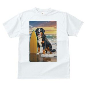 o[j[Y}EehbO TVc  j[NfUCfB[X t@  t vg lJWA 킢 lԗp Mtg I ҏ΍ T[t{[h o[j[Y}E