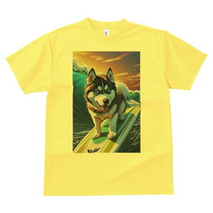 VxAnXL[ TVc  j[NfUCfB[X t@  t vg lJWA 킢 lԗp Mtg I ҏ΍ g VxAnXL[ T[tB T