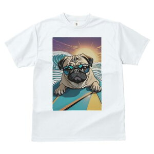 pO TVc  j[NfUCfB[X t@  t vg lJWA 킢 lԗp Mtg I ҏ΍ T[tB pO C g TOX