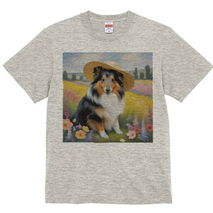 VFbghV[vhbO TVc  j[NfUCfB[X t@  t vg lJWA 킢 lԗp Mtg I ҏ΍ Xq VFbghV[vh