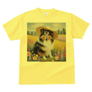 VFbghV[vhbO TVc  j[NfUCfB[X t@  t vg lJWA 킢 lԗp Mtg I ҏ΍ Xq VFbghV[vh