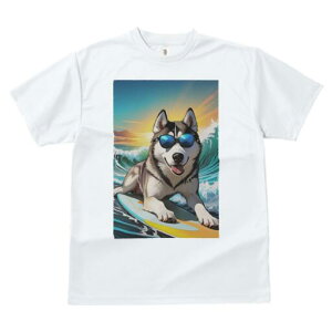 nXL[ TVc  j[NfUCfB[X t@  t vg lJWA 킢 lԗp Mtg I ҏ΍ T[tB nXL[ C g TOX