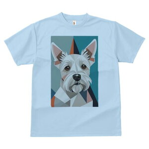 EGXgnChzCgeA TVc  j[NfUCfB[X t@  t vg lJWA 킢 lԗp Mtg I ҏ΍ 􉽊w͗l EGXgn