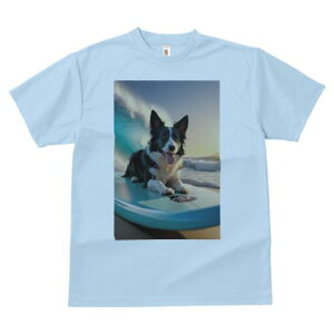 {[_[R[ TVc  j[NfUCfB[X t@  t vg lJWA 킢 lԗp Mtg I ҏ΍ g {[_[R[ C T[t{[h r[`