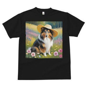 VFbghV[vhbO TVc  j[NfUCfB[X t@  t vg lJWA 킢 lԗp Mtg I ҏ΍ Xq VFbghV[vh