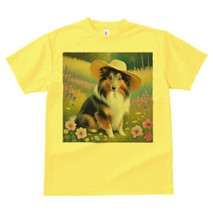 VFbghV[vhbO TVc  j[NfUCfB[X t@  t vg lJWA 킢 lԗp Mtg I ҏ΍ Xq VFbghV[vh