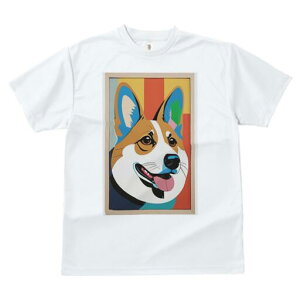 R[M[ TVc  j[NfUCfB[X t@  t vg lJWA 킢 lԗp Mtg I ҏ΍ R[M[