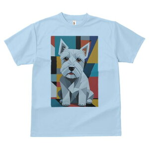 EGXgnChzCgeA TVc  j[NfUCY LbY t@  t vg lJWA 킢 lԗp Mtg I ҏ΍ 􉽊w͗l EGX