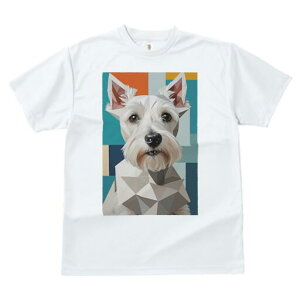 EGXgnChzCgeA TVc  j[NfUCfB[X t@  t vg lJWA 킢 lԗp Mtg I ҏ΍ EGXgnChz