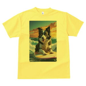 {[_[R[ TVc  j[NfUCfB[X t@  t vg lJWA 킢 lԗp Mtg I ҏ΍ g {[_[R[ C T[t{[h [Ă