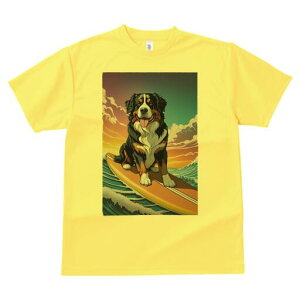 o[j[Y}EehbO TVc  j[NfUCfB[X t@  t vg lJWA 킢 lԗp Mtg I ҏ΍ T[tB o[j[Y}E