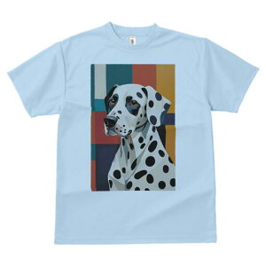 _VA TVc  j[NfUCfB[X t@  t vg lJWA 킢 lԗp Mtg I ҏ΍ wi _VA