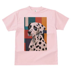 _VA TVc  j[NfUCfB[X t@  t vg lJWA 킢 lԗp Mtg I ҏ΍ wi _VA