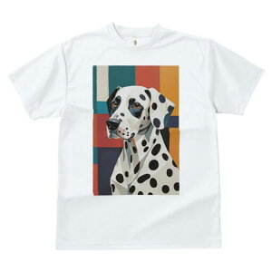 _VA TVc  j[NfUCfB[X t@  t vg lJWA 킢 lԗp Mtg I ҏ΍ wi _VA