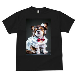 V[Y[ TVc  j[NfUCfB[X t@  t vg lJWA 킢 lԗp Mtg I ҏ΍ { V[Y[ hX