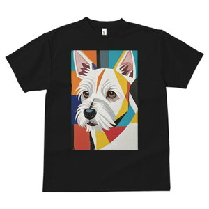 EGXgnChzCgeA TVc  j[NfUCfB[X t@  t vg lJWA 킢 lԗp Mtg I ҏ΍ EGXgnChz