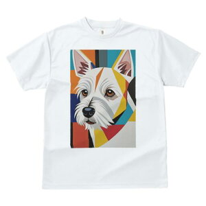 EGXgnChzCgeA TVc  j[NfUCY LbY t@  t vg lJWA 킢 lԗp Mtg I ҏ΍ EGXgnCh