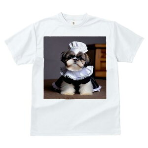 V[Y[ TVc  j[NfUCfB[X t@  t vg lJWA 킢 lԗp Mtg I ҏ΍ Ch V[Y[ Xq