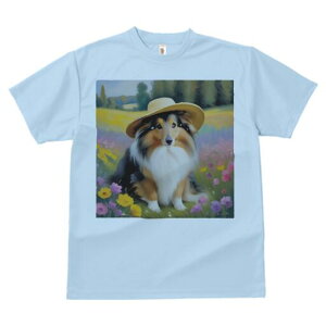 VFbghV[vhbO TVc  j[NfUCfB[X t@  t vg lJWA 킢 lԗp Mtg I ҏ΍ Xq VFbghV[vh