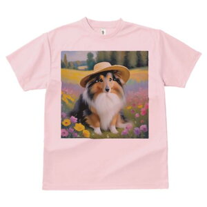 VFbghV[vhbO TVc  j[NfUCfB[X t@  t vg lJWA 킢 lԗp Mtg I ҏ΍ Xq VFbghV[vh