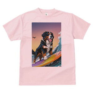 o[j[Y}EehbO TVc  j[NfUCY LbY t@  t vg lJWA 킢 lԗp Mtg I ҏ΍ T[tB o[j[Y}