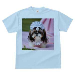 V[Y[ TVc  j[NfUCfB[X t@  t vg lJWA 킢 lԗp Mtg I ҏ΍ Xq V[Y[ sNF̕z