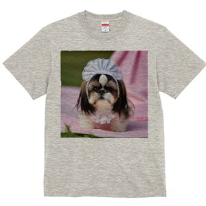 V[Y[ TVc  j[NfUCfB[X t@  t vg lJWA 킢 lԗp Mtg I ҏ΍ Xq V[Y[ sNF̕z