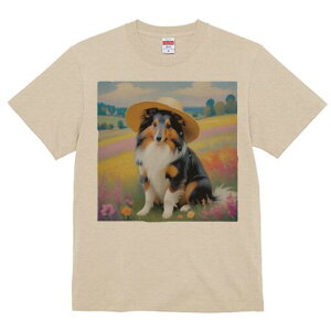 VFbghV[vhbO TVc  j[NfUCfB[X t@  t vg lJWA 킢 lԗp Mtg I ҏ΍ Xq VFbghV[vh