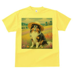 VFbghV[vhbO TVc  j[NfUCfB[X t@  t vg lJWA 킢 lԗp Mtg I ҏ΍ Xq VFbghV[vh