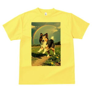 VFbghV[vhbO TVc  j[NfUCfB[X t@  t vg lJWA 킢 lԗp Mtg I ҏ΍  VFbghV[vhb