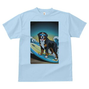 o[j[Y}EehbO TVc  j[NfUCY LbY t@  t vg lJWA 킢 lԗp Mtg I ҏ΍ T[tB o[j[Y}