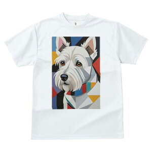 EGXgnChzCgeA TVc  j[NfUCfB[X t@  t vg lJWA 킢 lԗp Mtg I ҏ΍ EGXgnChz