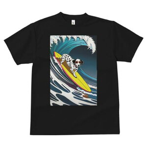 _VA TVc  j[NfUCfB[X t@  t vg lJWA 킢 lԗp Mtg I ҏ΍ g _VA T[tB T[t{[h C