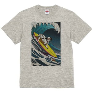 _VA TVc  j[NfUCfB[X t@  t vg lJWA 킢 lԗp Mtg I ҏ΍ g _VA T[tB T[t{[h C