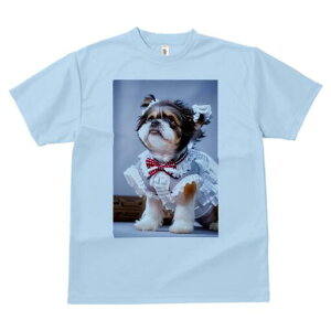 V[Y[ TVc  j[NfUCfB[X t@  t vg lJWA 킢 lԗp Mtg I ҏ΍ { V[Y[ 