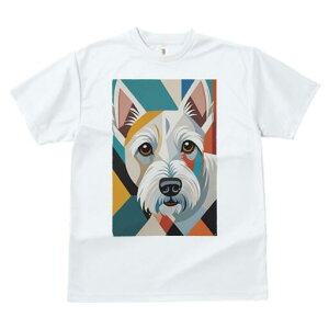 EGXgnChzCgeA TVc  j[NfUCfB[X t@  t vg lJWA 킢 lԗp Mtg I ҏ΍ 􉽊w͗l EGXgn