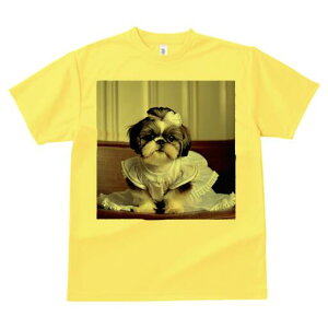 V[Y[ TVc  j[NfUCfB[X t@  t vg lJWA 킢 lԗp Mtg I ҏ΍ hX V[Y[ {