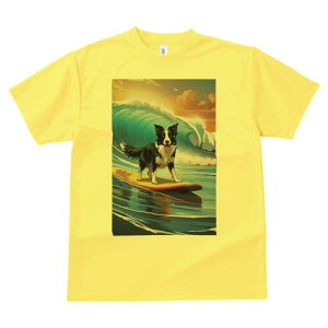 {[_[R[ TVc  j[NfUCfB[X t@  t vg lJWA 킢 lԗp Mtg I ҏ΍ g {[_[R[ T[tB C [Ă