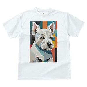 EGXgnChzCgeA TVc  j[NfUCfB[X t@  t vg lJWA 킢 lԗp Mtg I ҏ΍ 􉽊wI EGXgnC