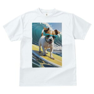 WbNbZeA TVc  j[NfUCfB[X t@  t vg lJWA 킢 lԗp Mtg I ҏ΍ T[tB WbNbZe