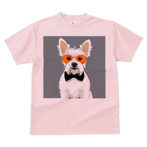 EGXgnChzCgeA TVc  j[NfUCY LbY t@  t vg lJWA 킢 lԗp Mtg I ҏ΍ Kl EGXgn